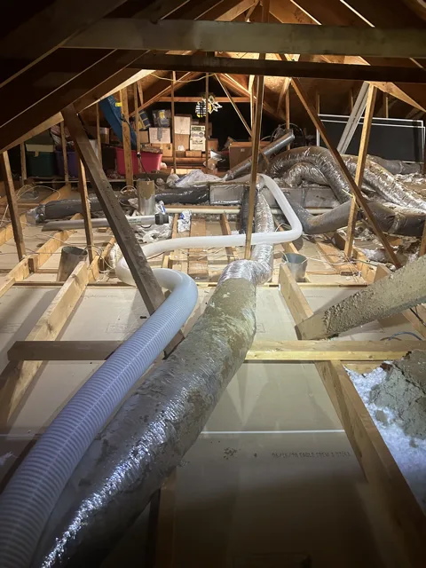 Insulation Removal After