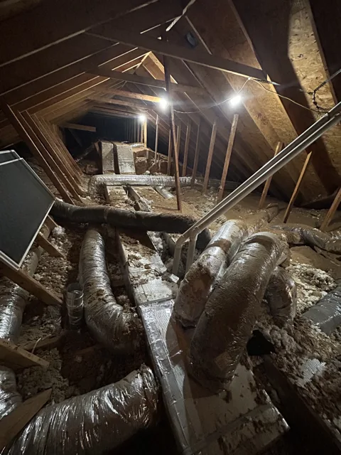 Insulation Removal Before